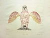 Jamasie Teevee, Kikavik (Owl with outspread wings), 45/50, 1968/66
1968, Engraving
