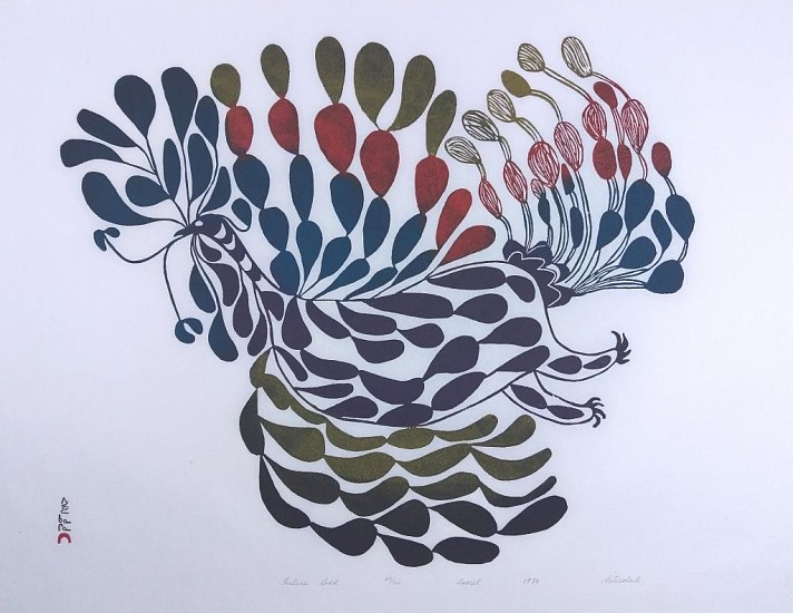 Pitseolak Ashoona, Festive Bird, 48/50, 1970
24 x 33 1/2 in.
ex coll.  Albrecht Collection of Arctic Art
If you look closely, you can see the outlines of the bird's head, body and legs, which are surrounded by and filled with an explosion of colorful feathers.  This print simply radiates joy.  Its design  is much more fluid than Pitseolak's scenes of daily life, but it relates back to her early depictions of demons, such as "Night Demons of Earth and Sky" and "Man with Beasts."