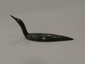 Mikisiti Saila -&nbsp;Swimming loon